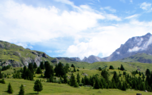 Switzerland 33