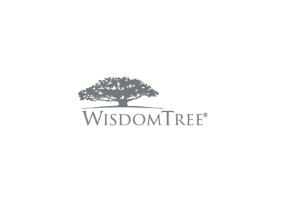 WisdomTree ETF etfs